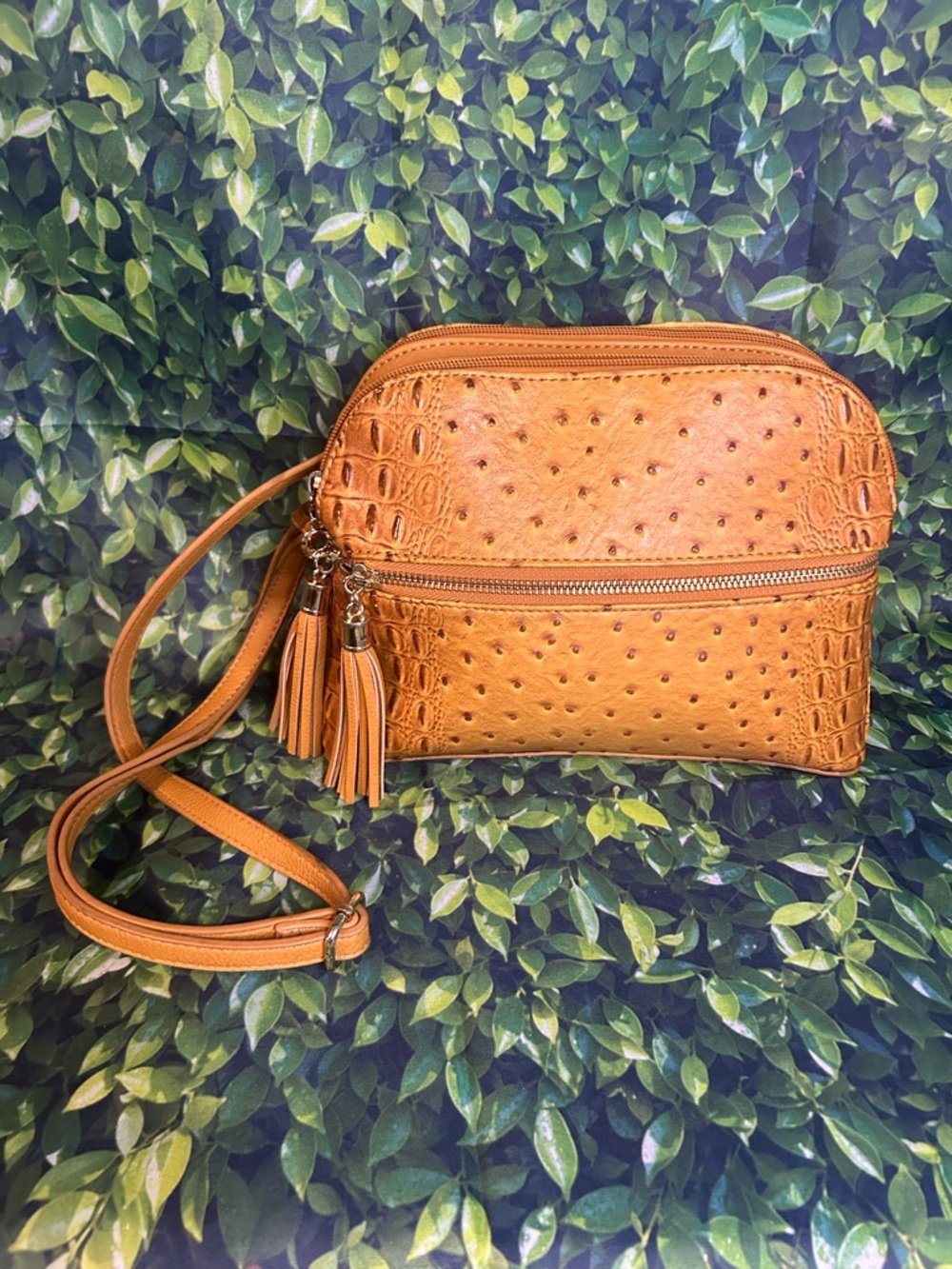 Tan Textured Crossbody Bag with Tassel Accents